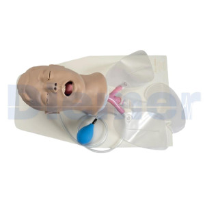 Larry Intubation Head